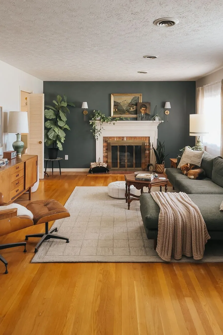 decorative wall ideas for living room with different paint